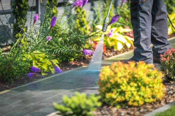Best Concrete Surface Cleaning in Arnaudville, LA